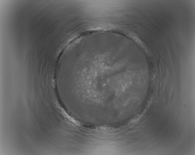 X0000054370585200508191848