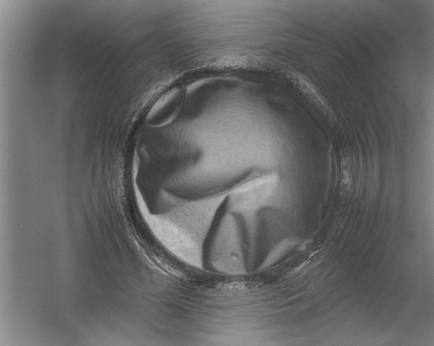 X0000054370588200508191848