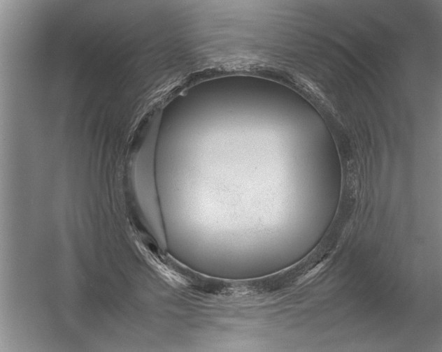 X0000054370589200508191848