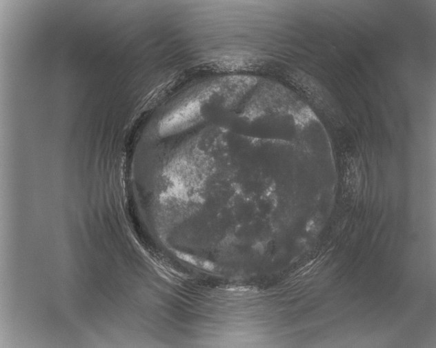 X0000054370590200508191848