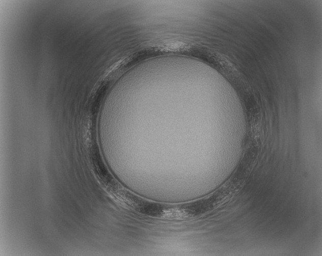 X0000054370591200508191848