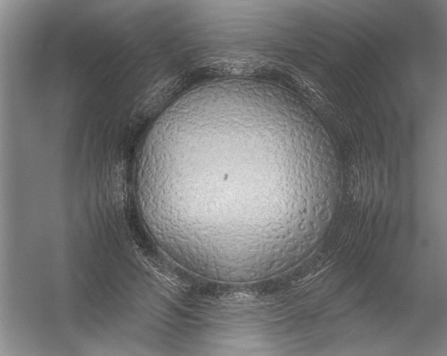 X0000054370594200508191848