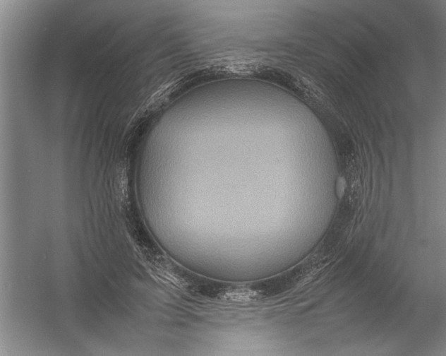 X0000054370595200508191848