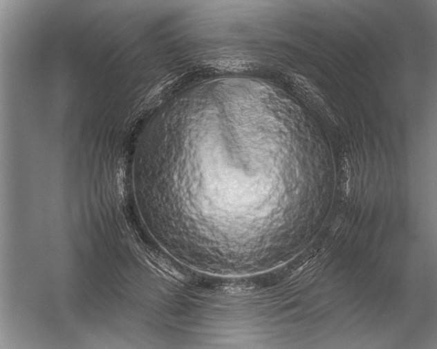 X0000054370596200508191848