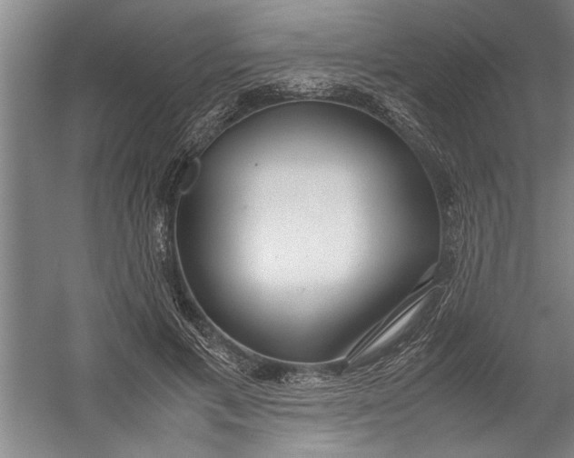 X0000054370597200508191848