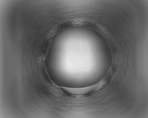 X0000054370601200508191848