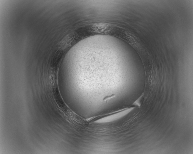 X0000054370602200508191848