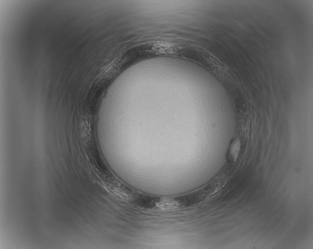 X0000054370603200508191848