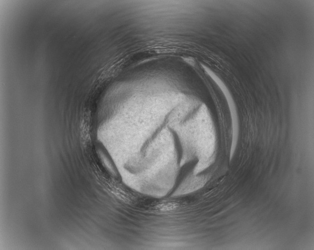 X0000054370604200508191848