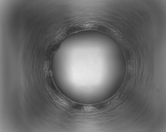 X0000054370605200508191848