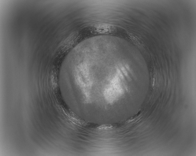 X0000054370606200508191848