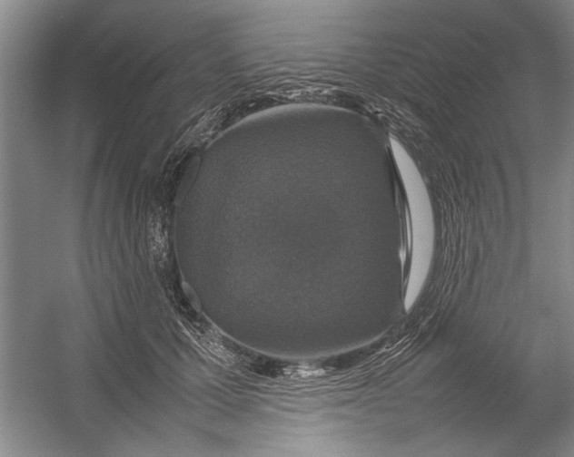 X0000054370607200508191848