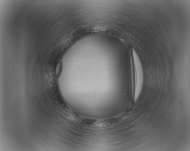 X0000054370608200508191848