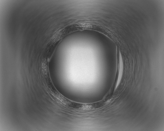 X0000054370609200508191848