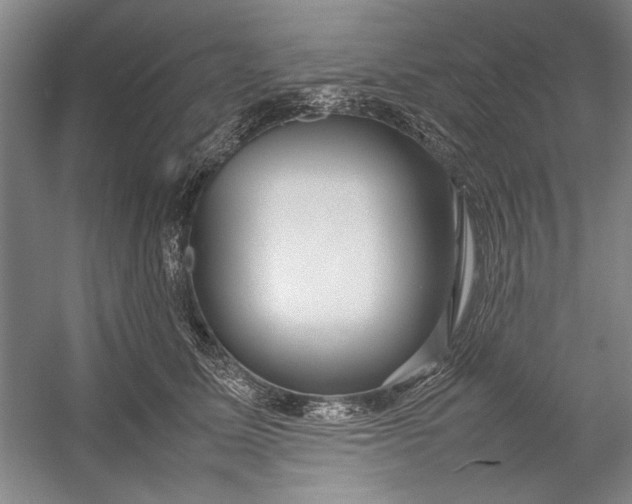 X0000054370611200508191848