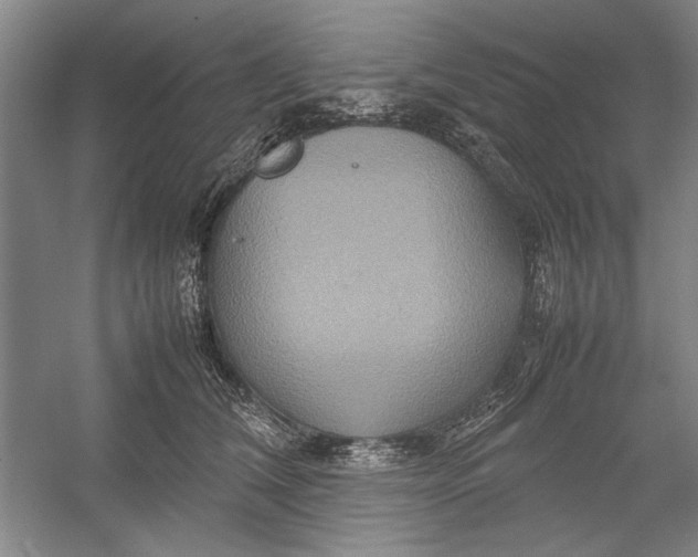 X0000054370612200508191848