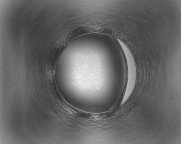 X0000054370613200508191848