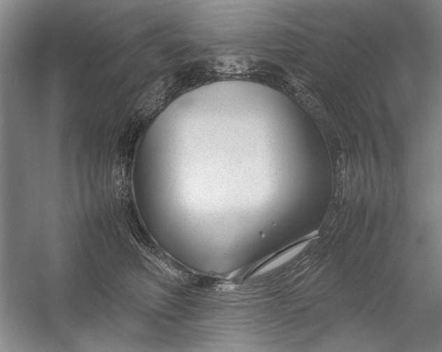 X0000054370614200508191848