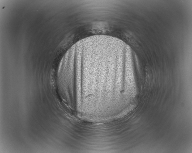 X0000054370616200508191848