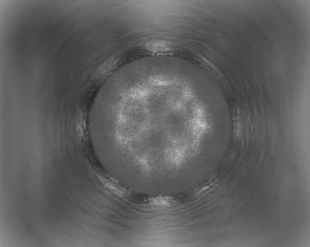 X0000054370618200508191848