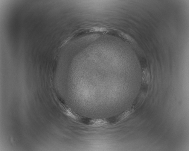 X0000054370621200508191848