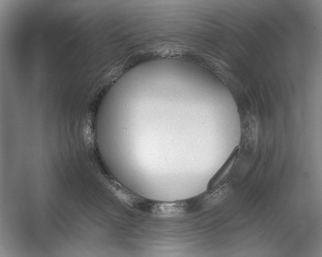 X0000054370622200508191848