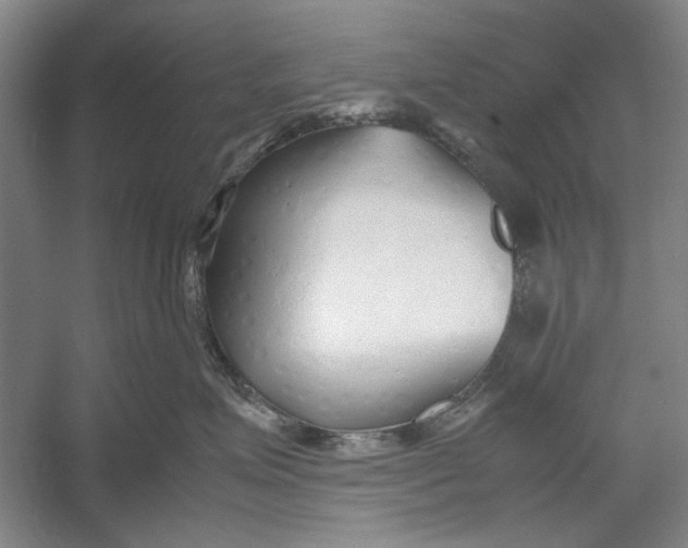 X0000054370623200508191848