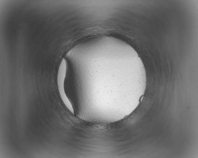 X0000054370624200508191848