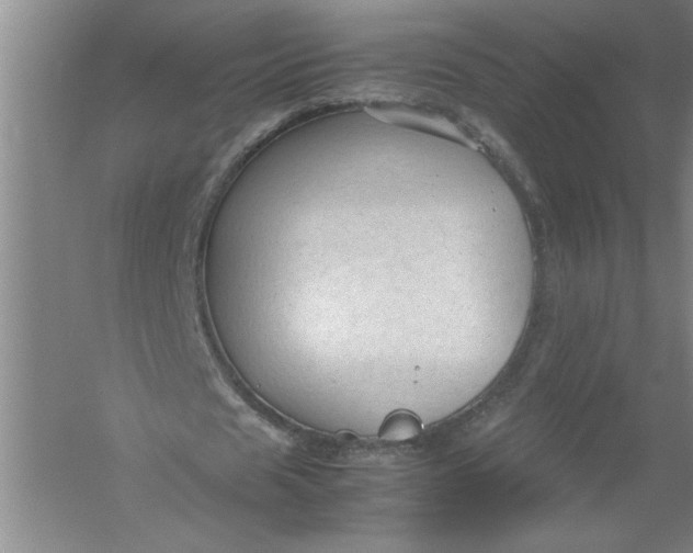 X0000054370625200508191847