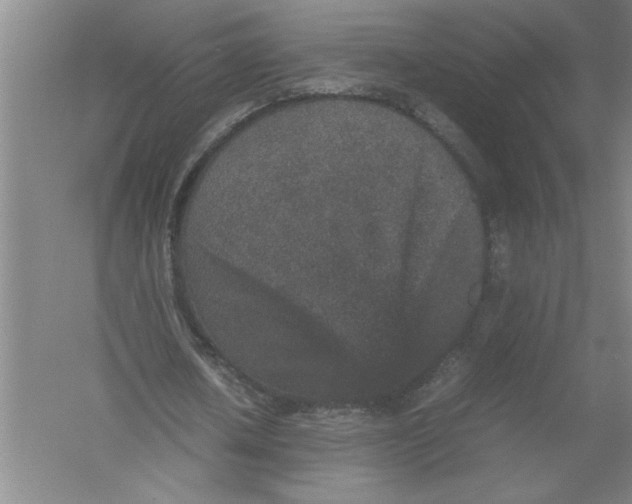 X0000054370626200508191847