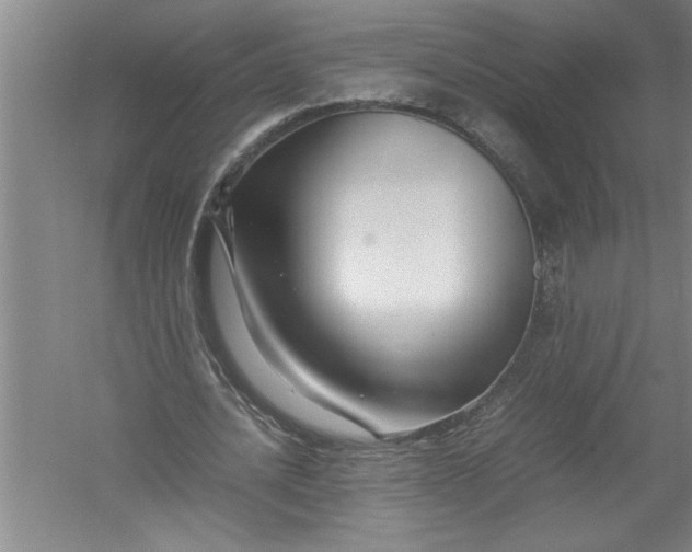 X0000054370628200508191847