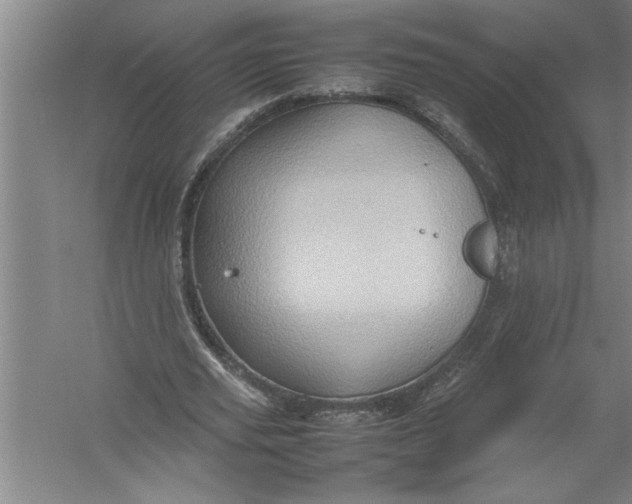 X0000054370629200508191847