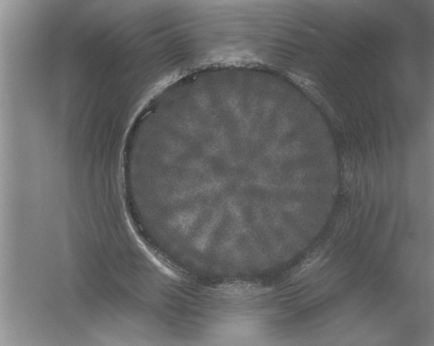 X0000054370630200508191847