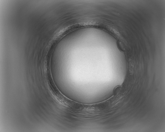 X0000054370631200508191847