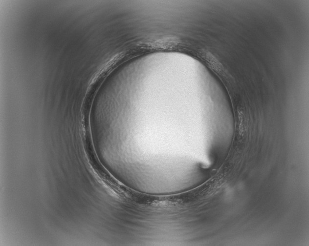 X0000054370634200508191847