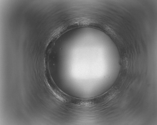 X0000054370638200508191847