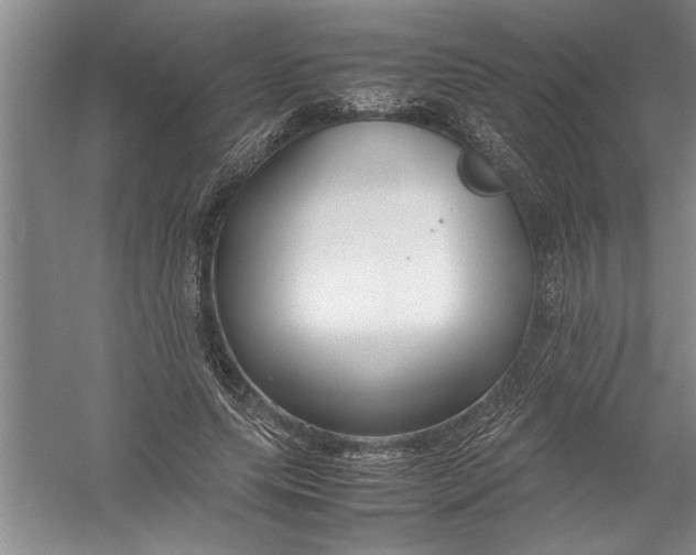 X0000054370639200508191847