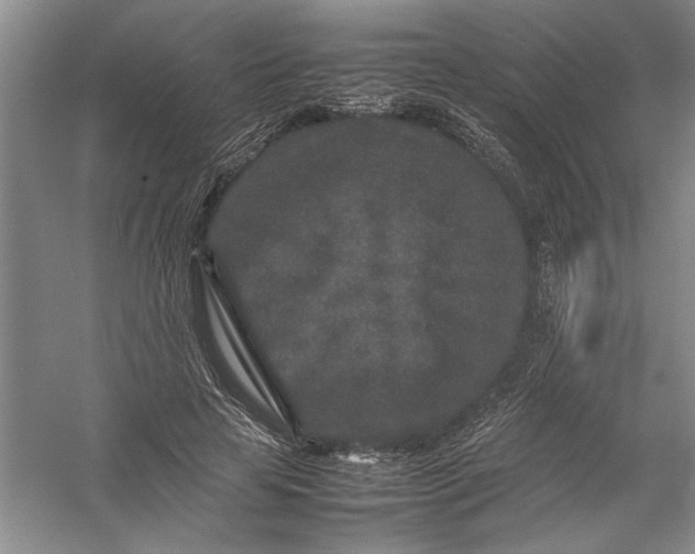 X0000054370641200508191847