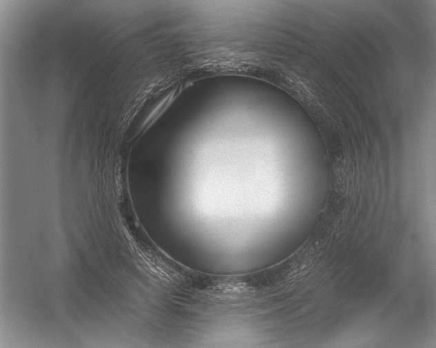 X0000054370642200508191847