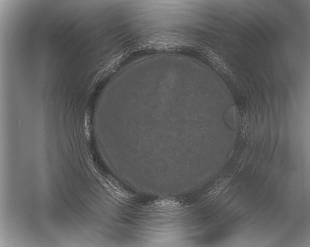 X0000054370644200508191847