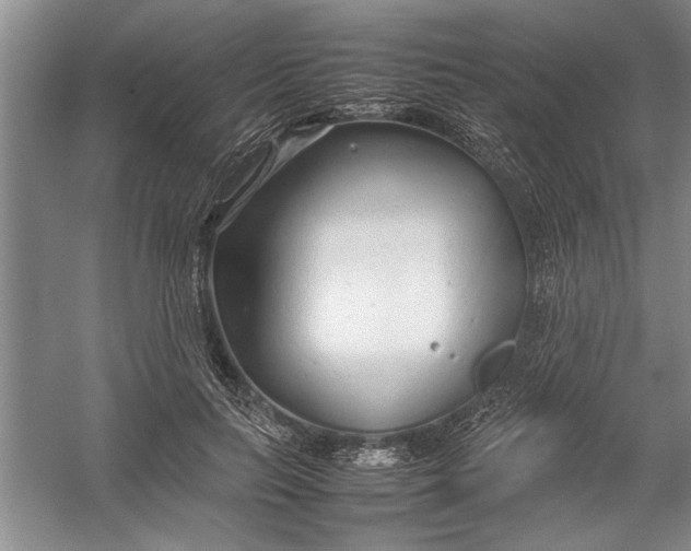 X0000054370647200508191847