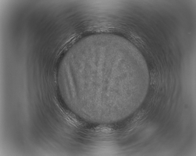 X0000054370648200508191847