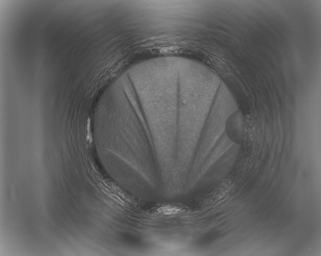 X0000054370650200508191847