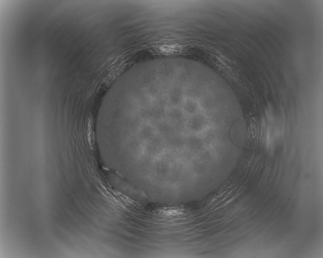 X0000054370651200508191847