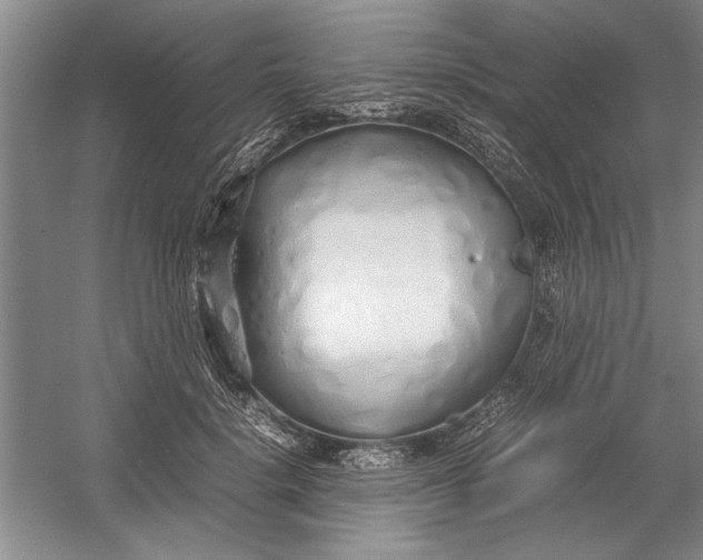 X0000054370652200508191847