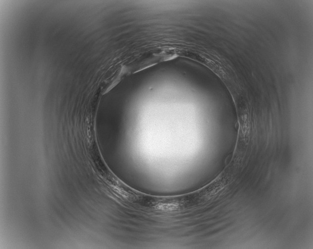 X0000054370653200508191847