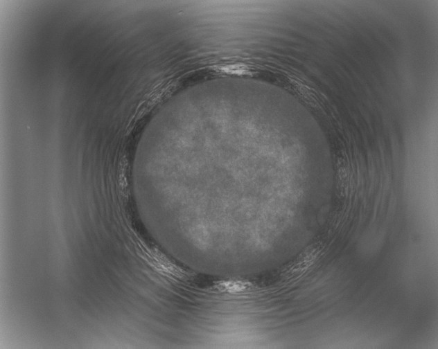 X0000054370654200508191848