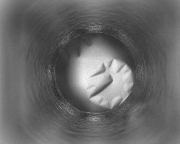 X0000054370655200508191848