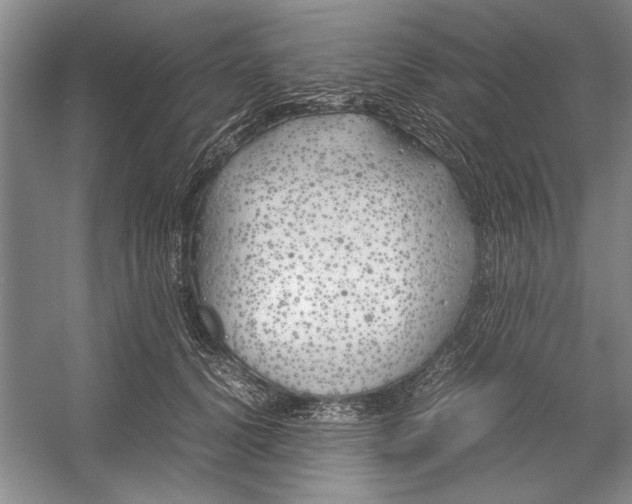 X0000054370656200508191848