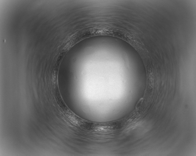 X0000054370657200508191848